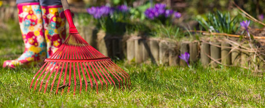 Preparing Your Yard for Spring